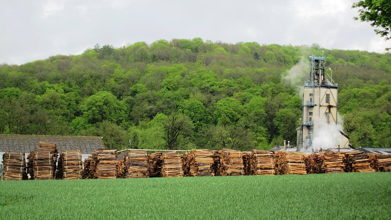 Bornes de la forêt de Mirebeau-sur-Bèze